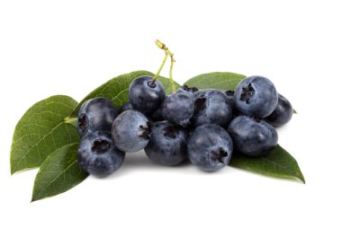 Taze yaban mersini hasadını beyaza yakın tut.