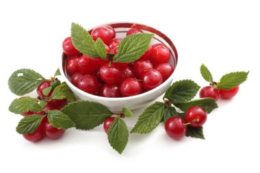 Nanking kirazı. Uzak Doğu lezzeti