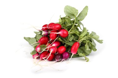 Beyaz arkaplanda taze turp izole edildi