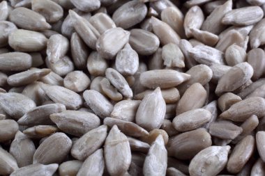 Bir yığın çiğ ayçekirdeği.