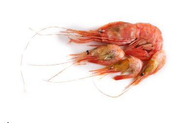 Büyük ve küçük karidesler