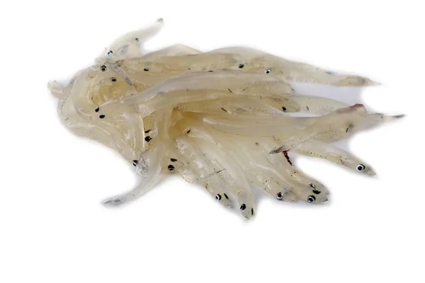 Pez Hielo Japonés Salangichthys Microdon — Foto de Stock
