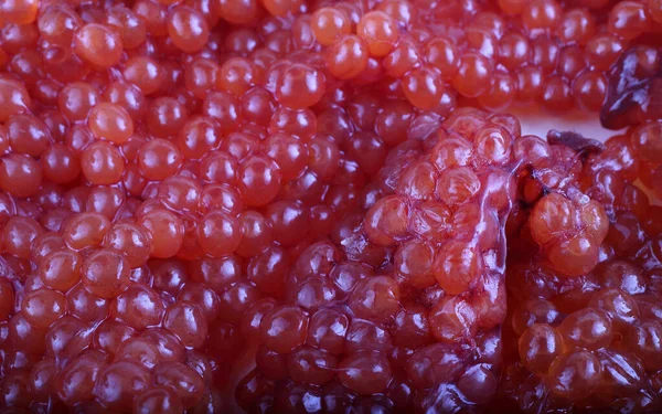 Frischer Roter Kaviar Hintergrund — Stockfoto