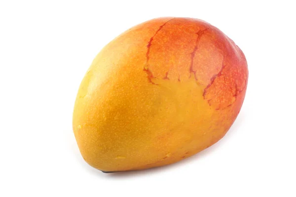 Mango Aislado Blanco — Foto de Stock