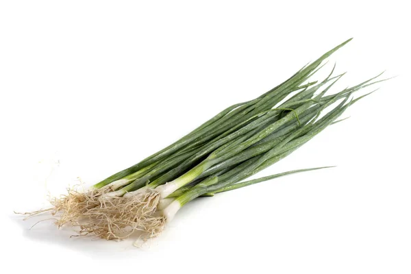 Cebollas Verdes Aisladas Sobre Blanco —  Fotos de Stock