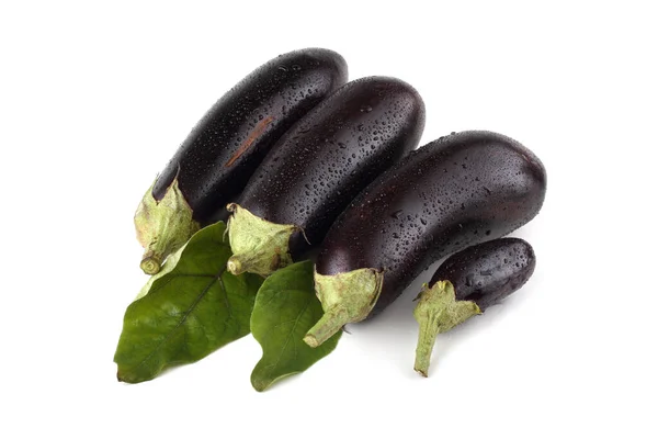 Eggplants Isolated White — Stock Photo, Image