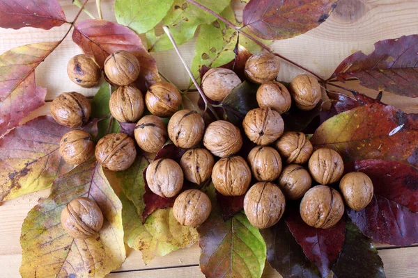 Noix Feuilles Automne Sur Table — Photo