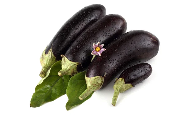 Aubergines Geïsoleerd Wit — Stockfoto