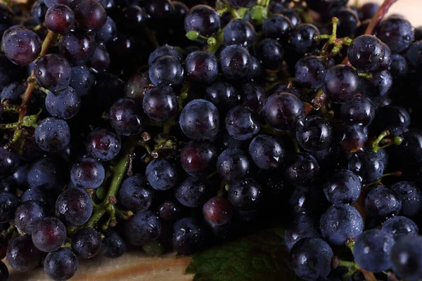 Cosecha Otoño Uva Para Vino Tinto — Foto de Stock