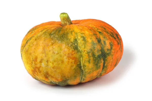 Calabaza Aislada Sobre Fondo Blanco —  Fotos de Stock