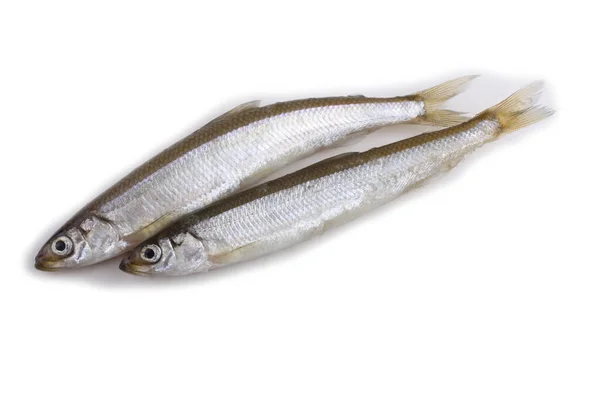 Aziatische Smelt Vis Geïsoleerd Wit — Stockfoto