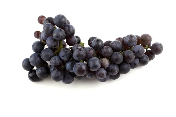 Odmiana Wina Czerwonych Winogron — Zdjęcie stockowe