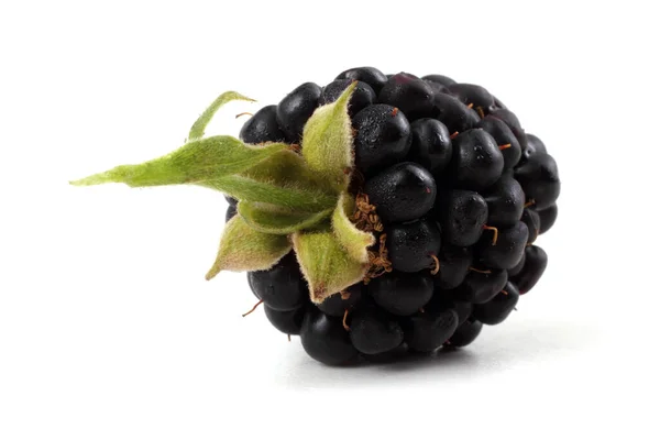 Blackberry White Background — Stock Photo, Image