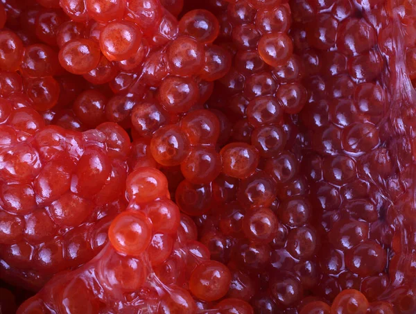 Uncooked Red Caviar Background — Stock Photo, Image