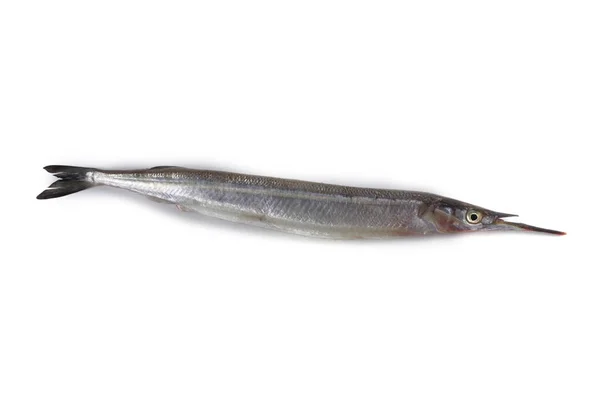 Garfish Isolado Branco — Fotografia de Stock