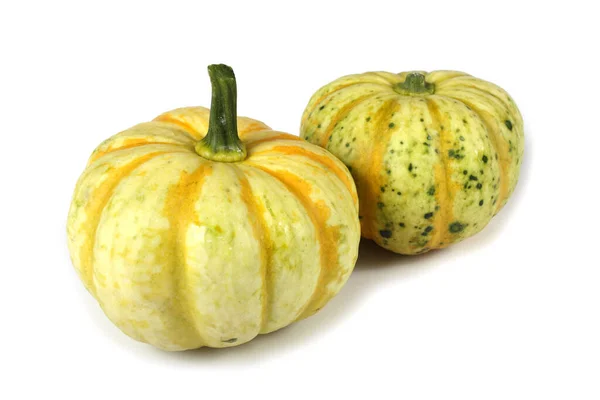 Zucca Isolata Sfondo Bianco — Foto Stock