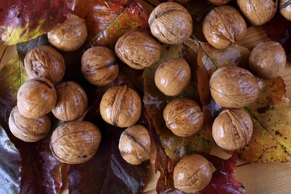 Noci Foglie Autunnali Tavola — Foto Stock