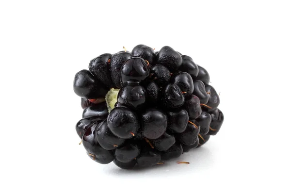 Blackberry White Background — Stock Photo, Image