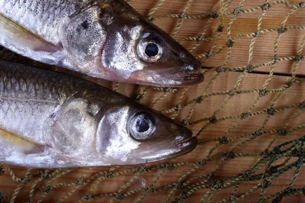 Grandes Peces Del Pacífico Olían Red Osmerus Mordax —  Fotos de Stock