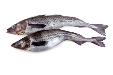 Beyaz arkaplanda Pollock
