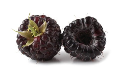 Two black raspberries (Rubus occidentalis) isolated on white clipart