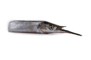 Garfish beyazda izole edilmiş.
