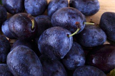 Olgun taze erikler. görünümü kapat