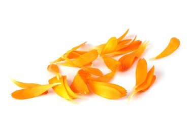 Takvim yaprakları beyaza izole edilmiş