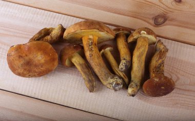 Beyaz arka planda izole edilmiş boletus edulis mantarları.