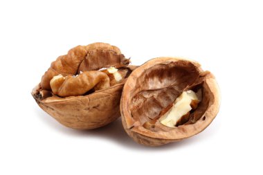 Ceviz beyaza izole edilmiş.