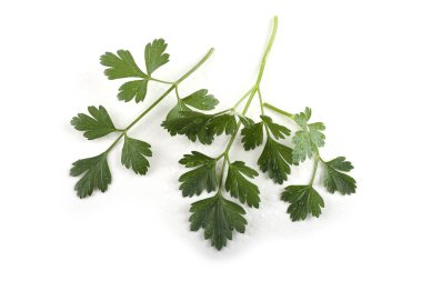 Beyaz arkaplanda izole edilmiş bir maydanoz demeti