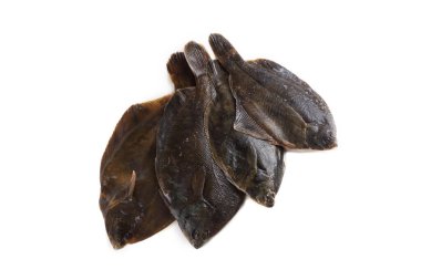 Kaya balığı. Dil balığı çeşitliliği