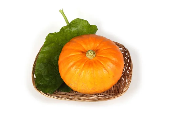 Zucca Isolata Sfondo Bianco — Foto Stock