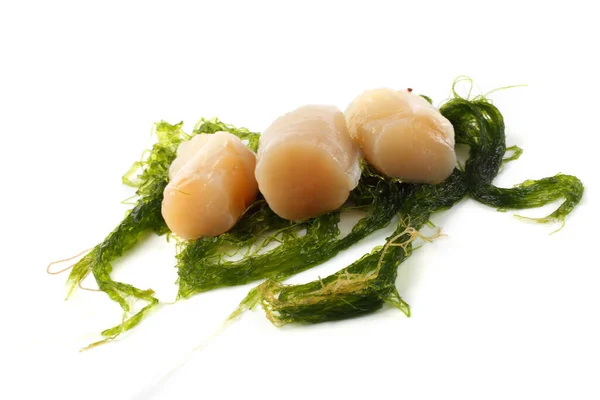 Scallop Fillet Alga Isolated White — Stock Photo, Image