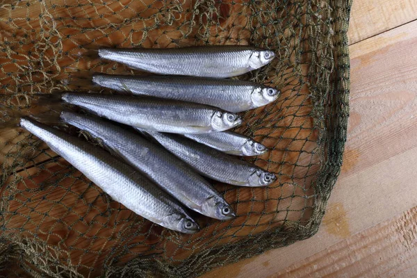 Poissons Parfumés Sur Filet Variété Poisson Pacific Smelt — Photo