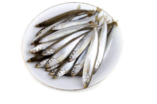 Asiático Cheirar Peixe Isolado Branco — Fotografia de Stock