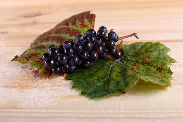 Black Grape Leaves Table — Stock Photo, Image