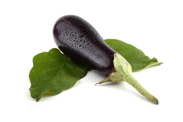 Aubergine Geïsoleerd Wit — Stockfoto