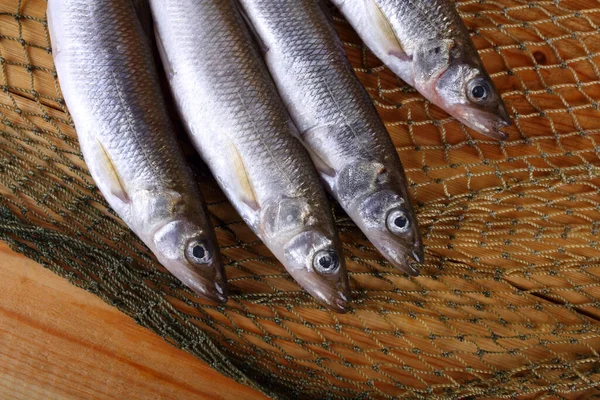 Derrite Pescado Red Osmerus Mordax —  Fotos de Stock