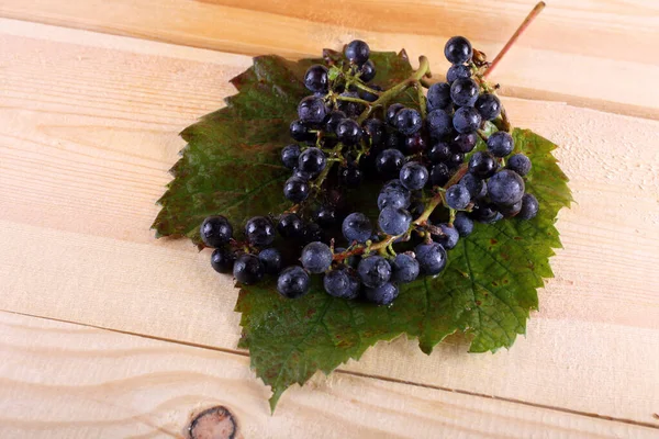 Uva Vino Negro Mesa — Foto de Stock