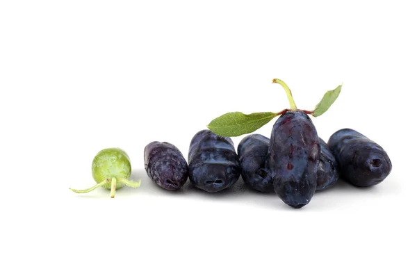 Honeyberry Isolato Bianco — Foto Stock