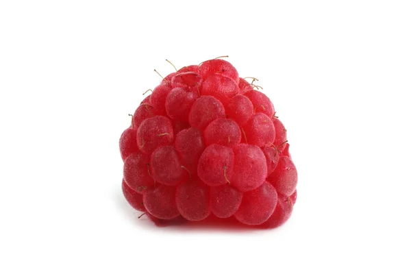 Fresh Organic Raspberries White Background — Stock Photo, Image