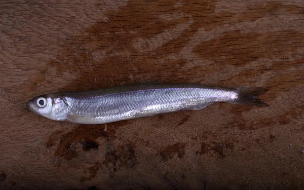 Fisch Schneidebrett Riechen — Stockfoto