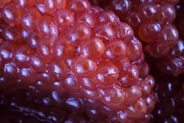 Fondo Caviar Rojo Fresco —  Fotos de Stock