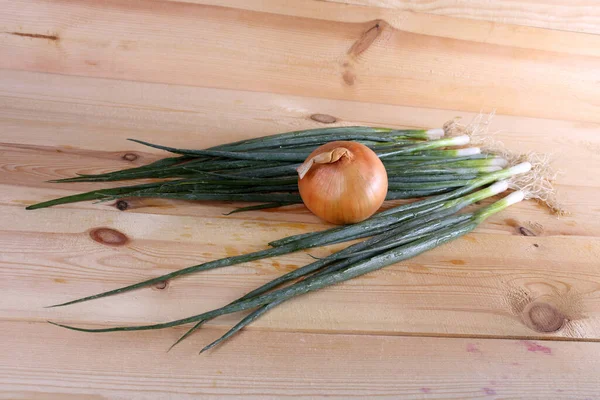 Uien Tafel Landelijke Stijl — Stockfoto