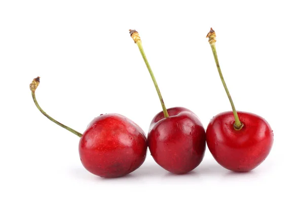 Cerezas Aisladas Sobre Fondo Blanco — Foto de Stock