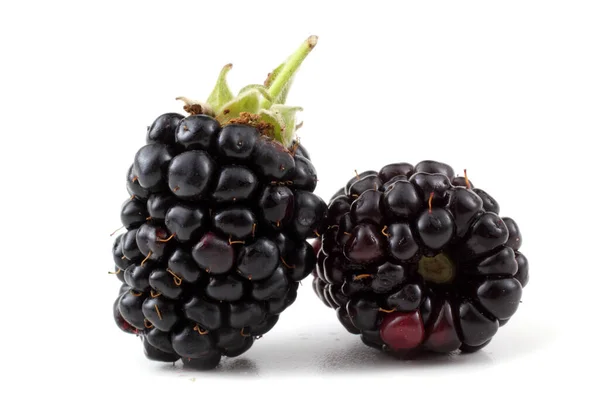 Brombeeren Auf Weißem Hintergrund — Stockfoto