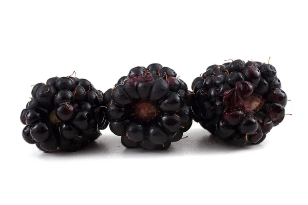 Close Fresh Blackberries Harvest — Stock Photo, Image