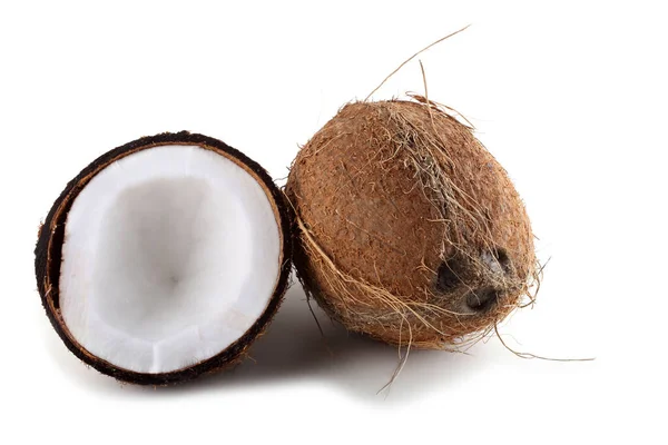 白色背景的新鲜椰子 — 图库照片