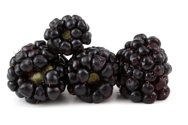 Blackberries Белом Фоне — стоковое фото